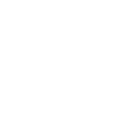 Pirate Dice